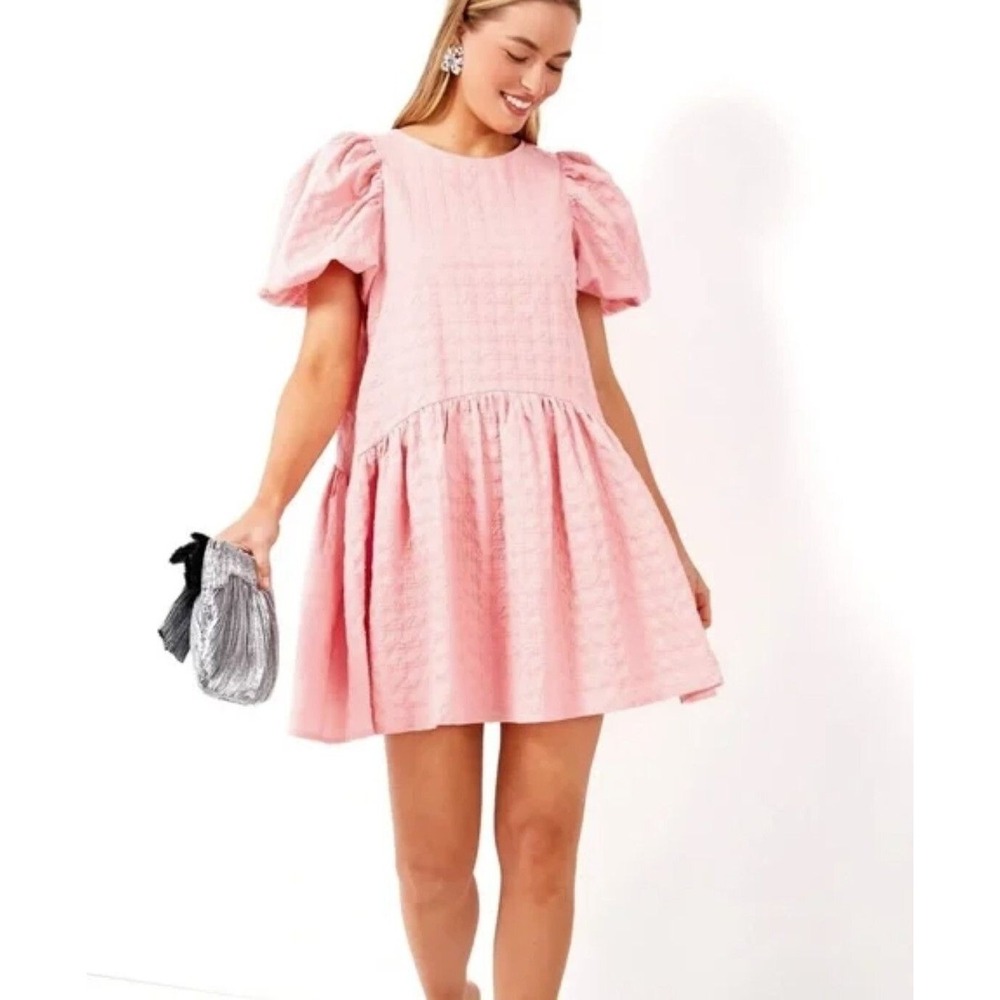 English Factory by Tuckernuck Pink Puff Sleeve Drop Waist Mini Dress XS NWT